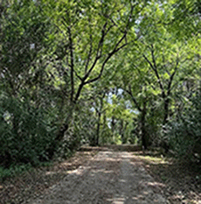 Mill Village Trail